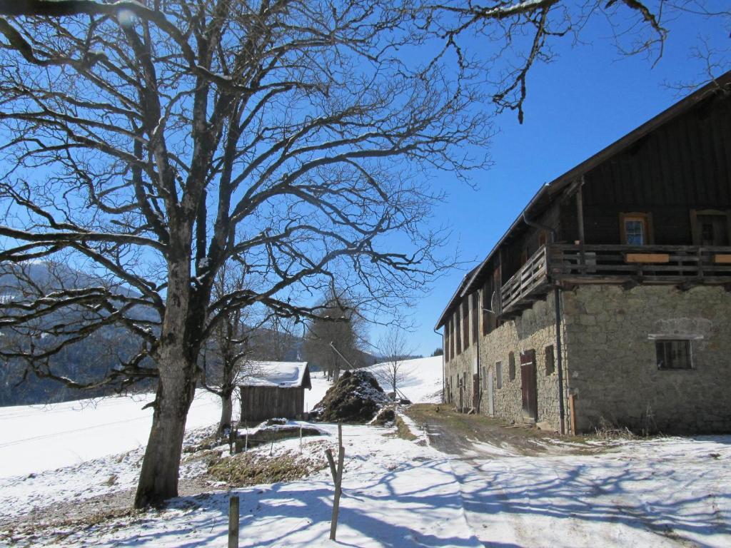 Ferienhaus Waldsicht Flachau Exteriör bild