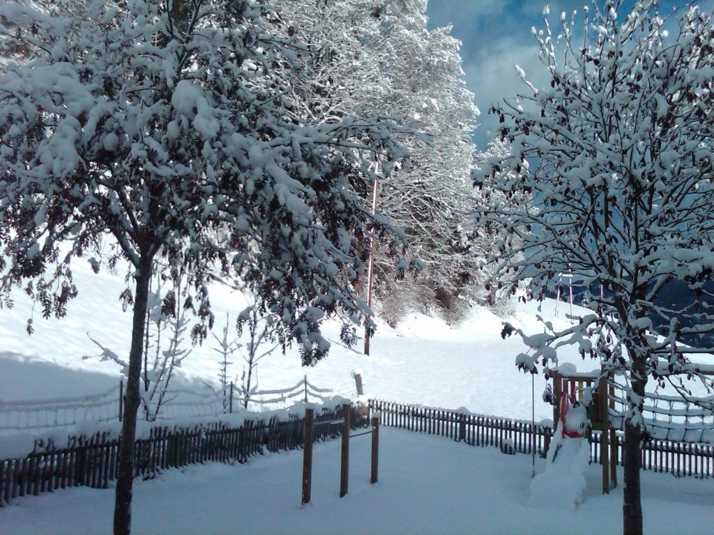 Ferienhaus Waldsicht Flachau Exteriör bild