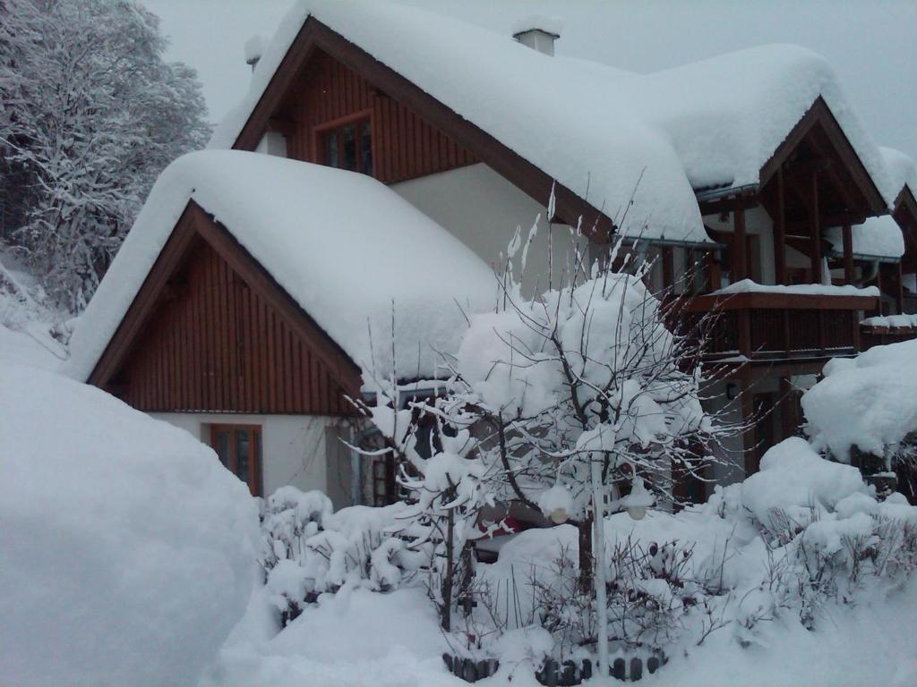 Ferienhaus Waldsicht Flachau Exteriör bild